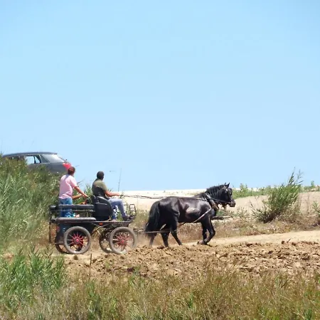 Апартаменты Casa Do Portao Azul - Espadarte Атогиа-да-Балейя