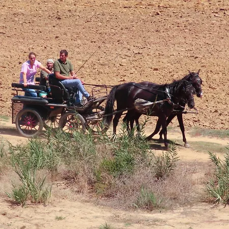 Апартаменты Casa Do Portao Azul - Espadarte
