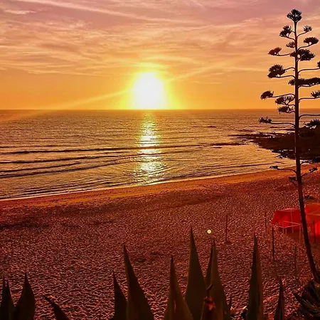 Casa Do Portao Azul - Espadarte