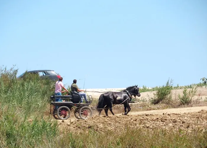 アパート Casa Do Portao Azul - Espadarte アトウギア・ダ・バレイア