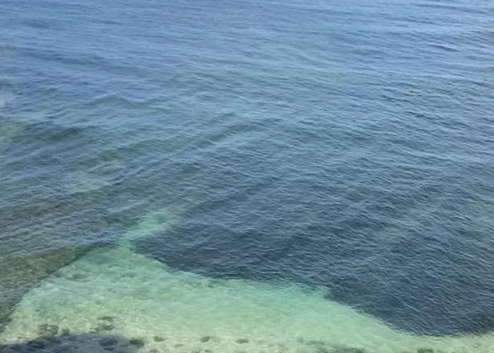 アパート Casa Do Portao Azul - Espadarte アトウギア・ダ・バレイア