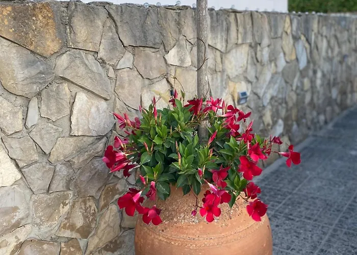 Casa Do Portao Azul - Espadarte * アトウギア・ダ・バレイア